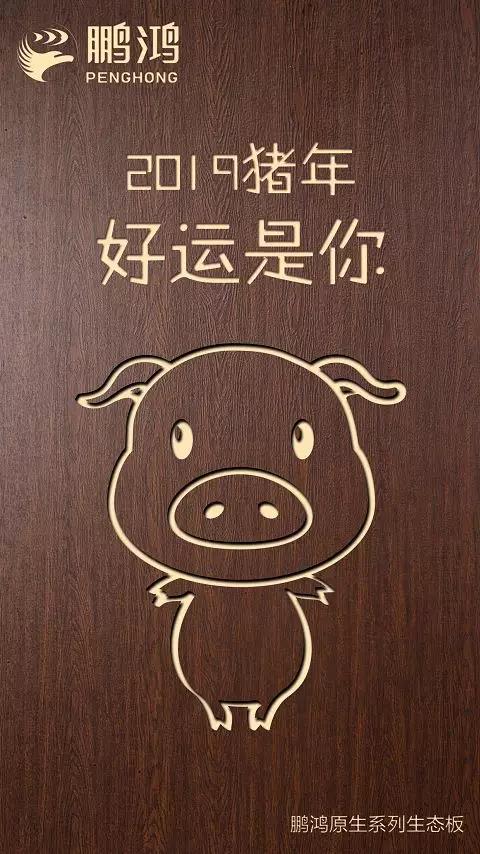 NG电子游戏原生系列生态板