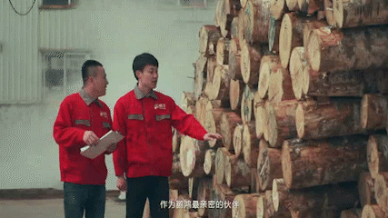 从一张板材到万万家 兑现生涯的优美