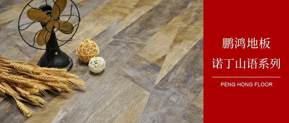 NG电子游戏强化地板诺丁山语系列