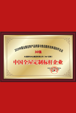 中国全屋定制标杆企业