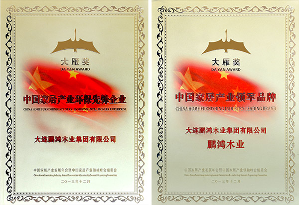 NG电子游戏大雁奖