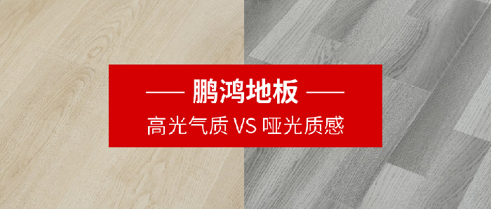 NG电子游戏强化复合地板亮面vs哑光