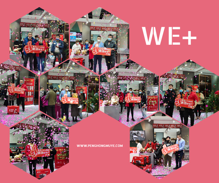 突破百单，，，NG电子游戏We+定制家居夺魁沈阳家博会