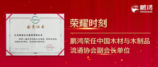再获行业肯定，NG电子游戏荣任中国木料与木制品流通协会副会长