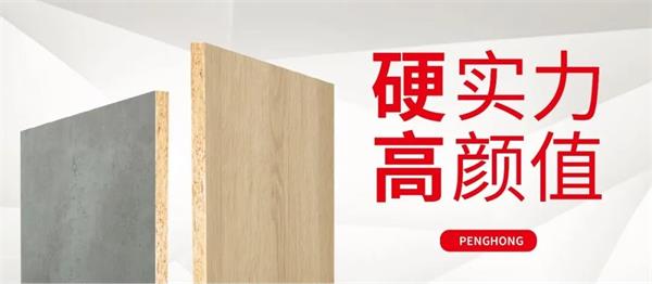 解锁NG电子游戏实木颗粒板独当一“面”的底气