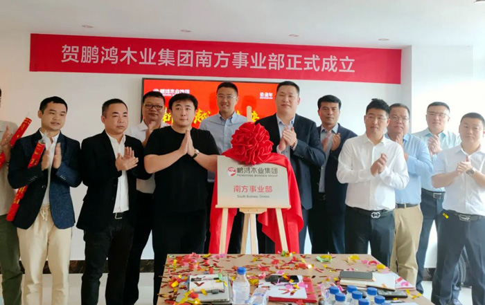 NG电子游戏木业集团南方事业部