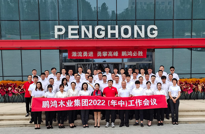 NG电子游戏木业集团半年度事情会开启新赛道