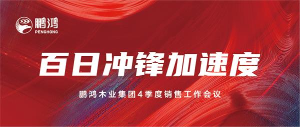 NG电子游戏销售事情会助力百日冲锋加速率