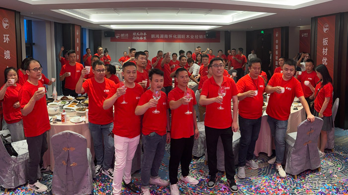 湖南怀化NG电子游戏板材新品推介会