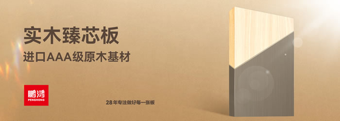 NG电子游戏臻芯板