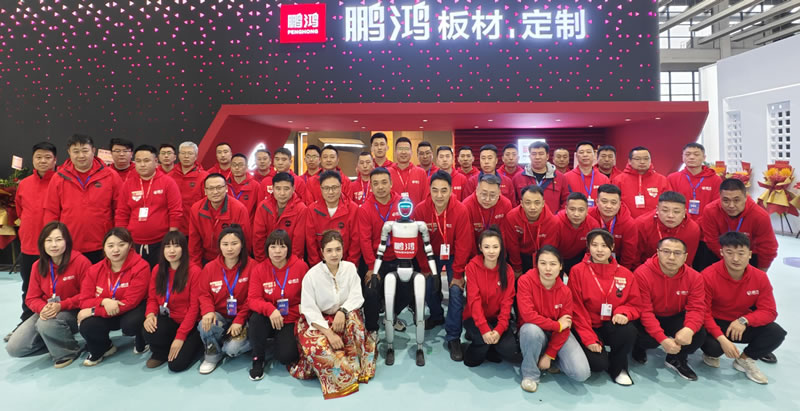 NG电子游戏沈阳家博会载誉收官，，万千瞩目誊写传奇