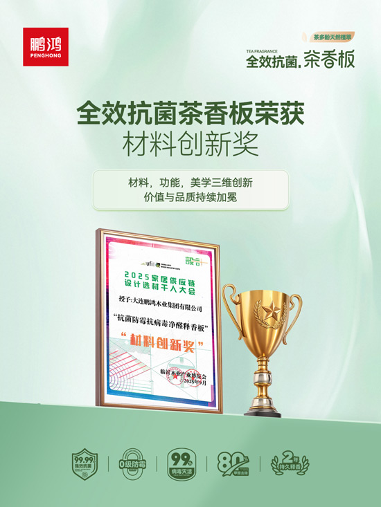 NG电子游戏板材质料立异奖